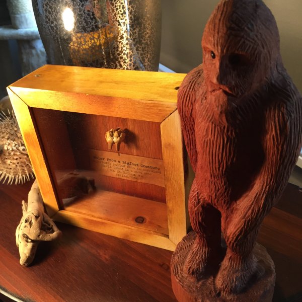 Bigfoot Molar