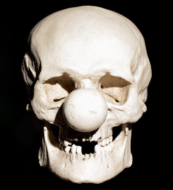 Clown Skull - Bozos Bones