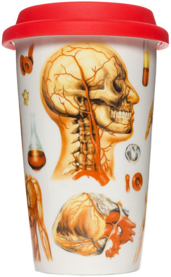 Human Anatomy Tumblers