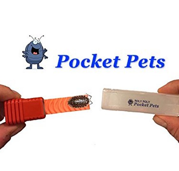 Pocket Pets Roach On The Go