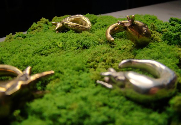 Bronze Slug Rings