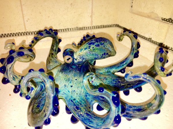Glass Octopus - Don't Crack My Kraken