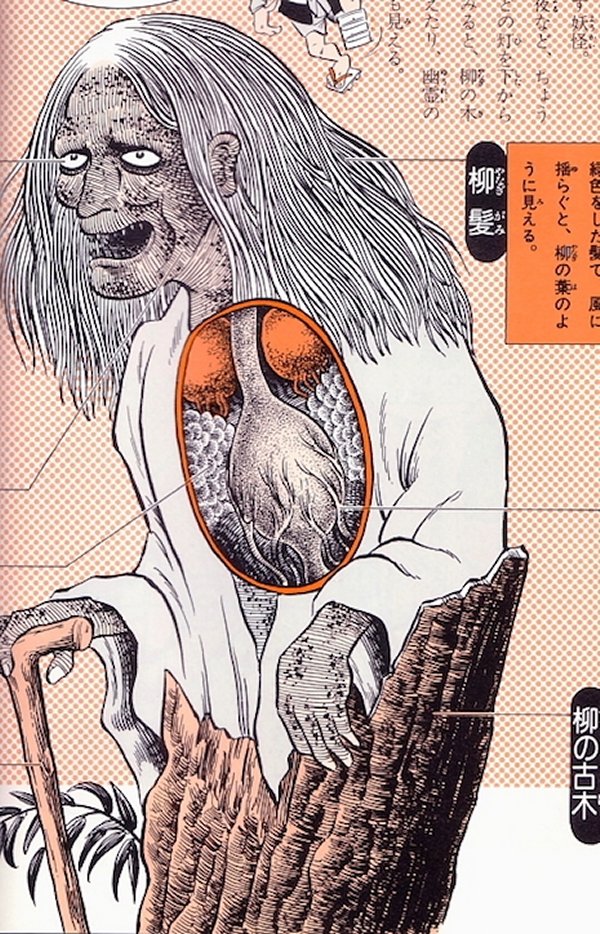 Anatomical Illustrations Of Japanese Monsters