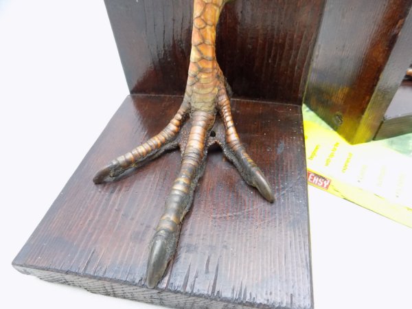 Taxidermy Turkey Feet Bookends
