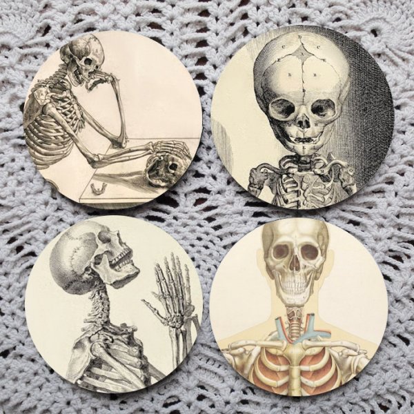 Skeletons in the Closet Coaster Set