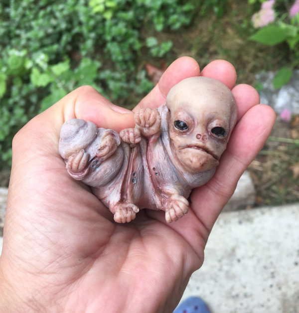 Crazy Larva Mutant