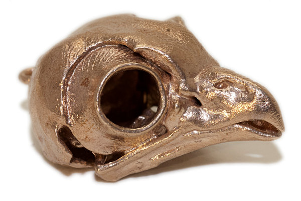 Screech Owl Skull Necklace