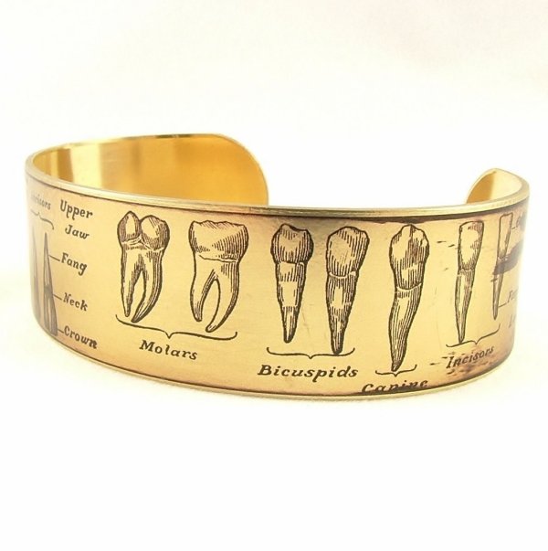Tooth Fairy Anatomical Teeth Bracelet