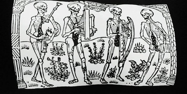 Danse Macabre Pillow Set