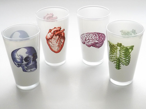 Anatomy Pint Glasses