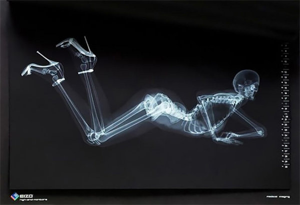 Skeleton Pin-Up Calendar