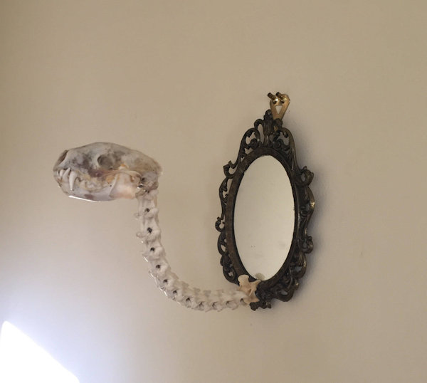Taxidermy Mirror With Snake Skunk Creature