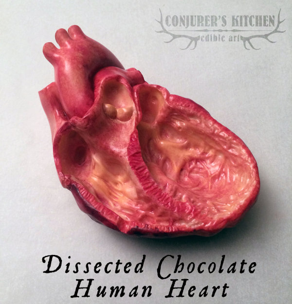 Chocolate Cat Skulls And Other Chocolate Oddities