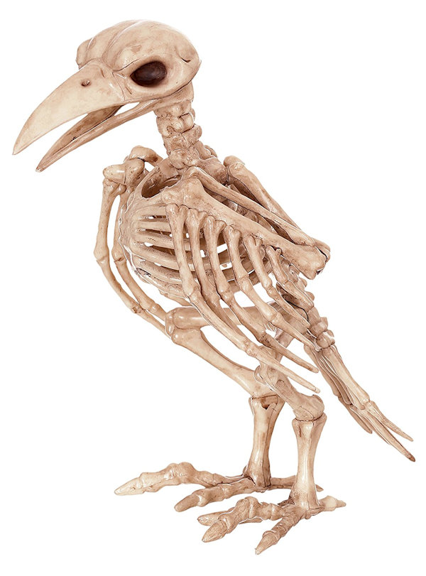 Creepy Raven Skeleton