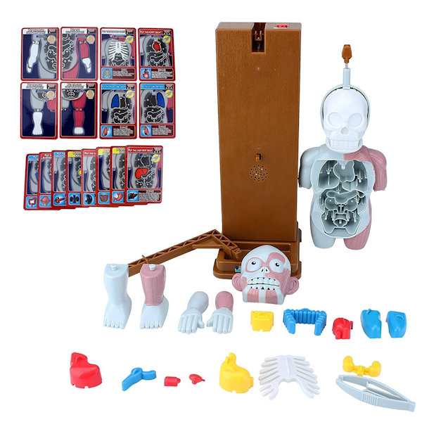 Weird 3D Puzzle Human Body Organ Game (With Background Music)