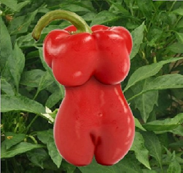 Grow Yourself Some Sexy Woman-Shaped Peppers
