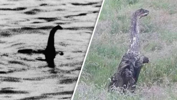Loch Ness Monster Stalks Scottish Village