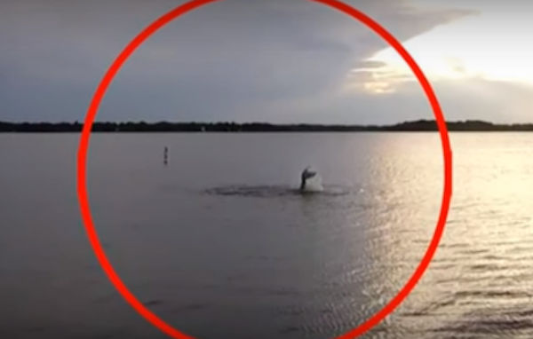 Guys in Hazmat Suits Find Mermaid Body