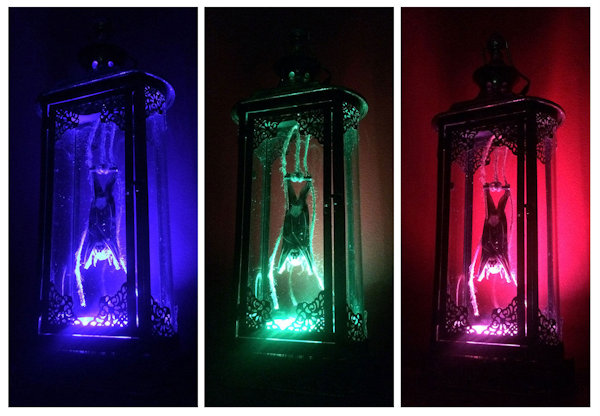 Interior Frighting - Taxidermy Bat Lanterns