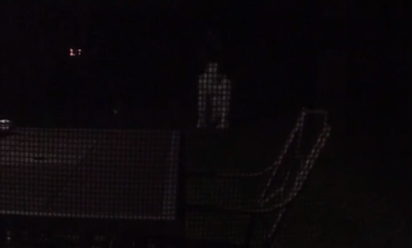 Weird Creature Caught on Tape