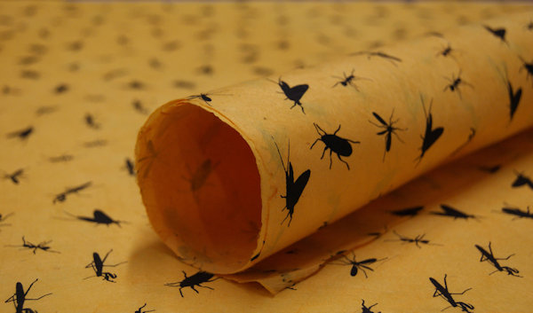 This Creepy Wrapping Paper Is Full Of Bugs