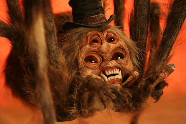 Handsy the Hobo Spider