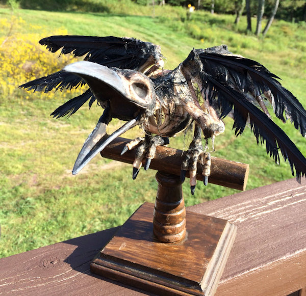 Raven Skeleton Prop