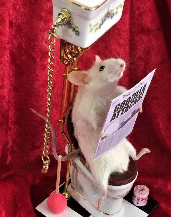 Taxidermy Toilet Mouse