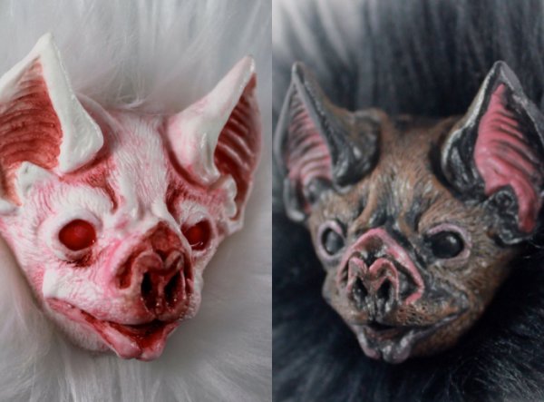 Vampire Bat Pin In Albino Or Natural