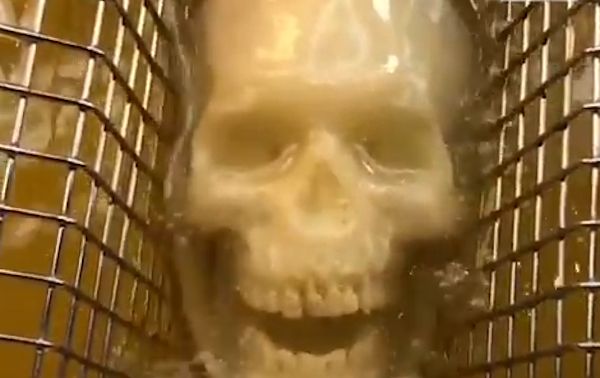 Potato Head Skulls - Art That You Can Eat