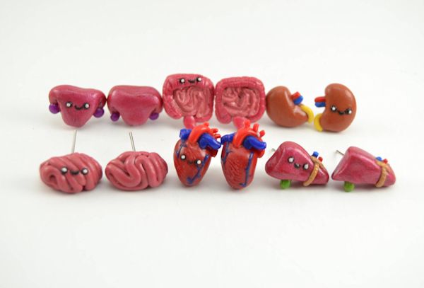 Gross Human Anatomy Earrings
