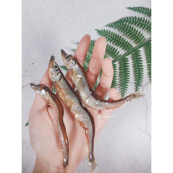 Holy Mackerel! - Real Fish Resin Necklace Earrings and Necklace