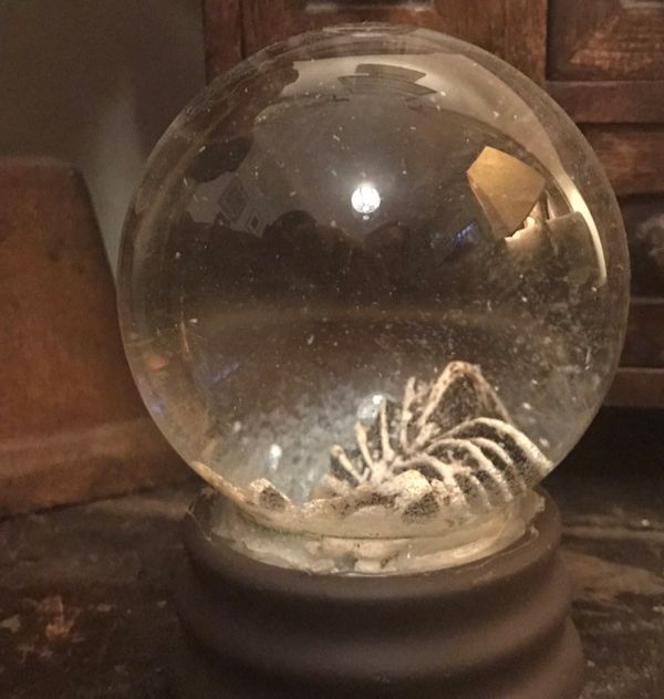 Gothic Skeleton Snowglobe