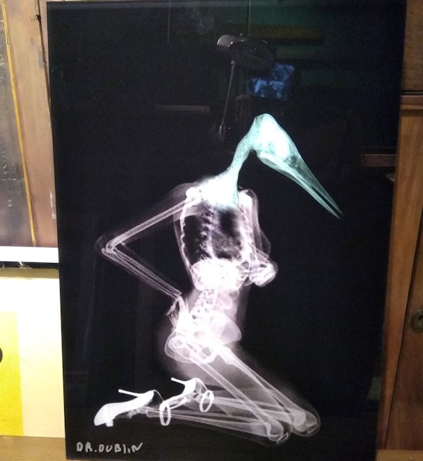 Bird People X-Rays - Ooh La La